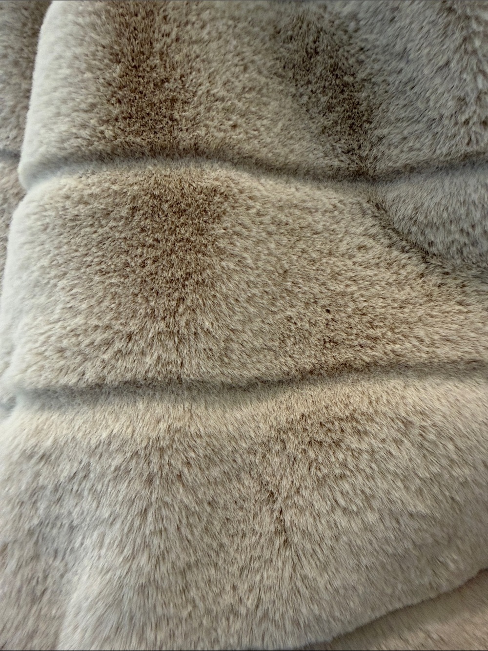 Quince Hooded Faux Fur Jacket in Latte - Picture 5 of 6